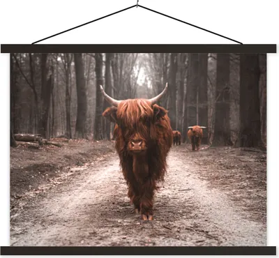 Produktbild von MuchoWow® Textilposter Schottisches Hochlandrind - Wald - Kuh - Tiere - Natur 40x30 cm mit schwarzem Rahmen - Dekorationen