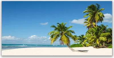 Produktbild von Tulup Leinwand-Bilder 120x60 Wandbild Canvas Kunstdruck Strand Palmen Landschaft