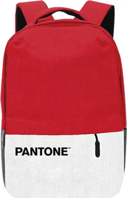Produktbild von Pantone PT-BPK001R1, 39,6 cm (15.6"), Notebook-Gehäuse, Polyester