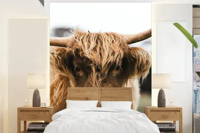 Produktbild von MuchoWow® Fototapete für Wohnzimmer oder Schlafzimmer Wandtapete Vinyl Motivtapete Schottischer Highlander - Kuh - Gras - Tiere - Natur - 190x260 cm - Papiertapete
