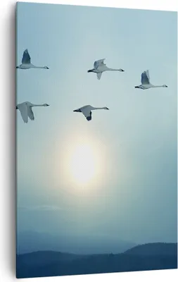 Produktbild von Bild auf Leinwand - Leinwandbild - Einteilig - Storch Vogel Natur - 80x120cm - Wand Bild - Wanddeko - Wandbilder - Leinwanddruck - Wanddekoration - Leinwand bilder - Wandbild - PA80x120-3802