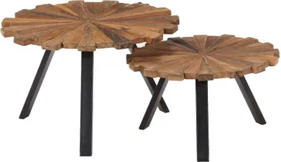 Image de Tables basses 2 pcs Bois de récupération massif