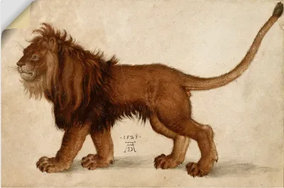 Produktbild von ARTland Wandbild, selbstklebend Löwe. 1521 Größe: 90x60 cm