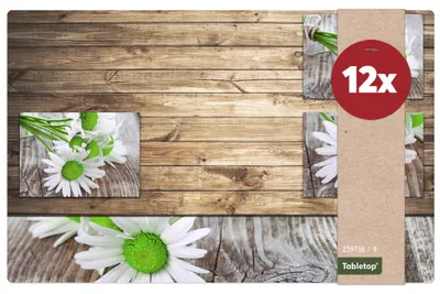 Produktbild von Tischset Margeriten.Blumen Tischunterlage Tischdeko