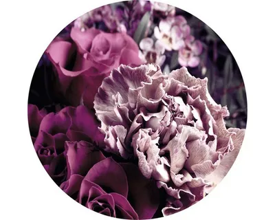 Produktbild von Glasbild Baroque Flowers VI Ø 20 cm