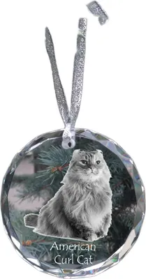 Produktbild von American Curl Katze - Kristallkugel mit Foto, Katzenfoto im Kristall, personalisierter Weihnachtsbaumanhänger von Art-Dog.