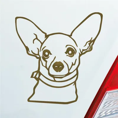 Produktbild von Auto Aufkleber Chihuahua Hund Dog Animal Tier Car 10x10 cm Gold Sticker Heckscheibenaufkleber
