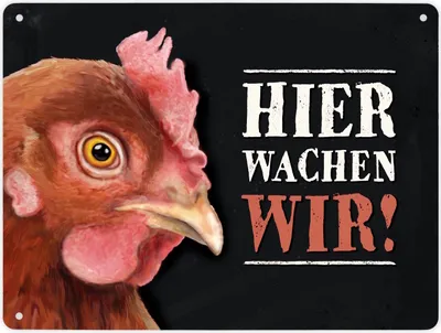 Produktbild von Hier wachen wir! Metallschild XL mit Huhn Motiv Schild Blechschild