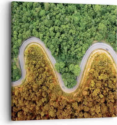 Produktbild von Bild auf Leinwand - Leinwandbild - Einteilig - Luftaufnahmen Weg Wald - 40x40cm - Wand Bild - Wanddeko - Wandbilder - Leinwanddruck - Bilder - Wanddekoration - Leinwand bilder - AC40x40-4659