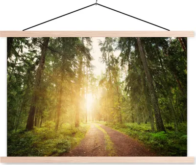 Produktbild von MuchoWow® Textilposter Wald - Baum - Sonne 60x40 cm mit holzfarbenen Rahmen - Bilder