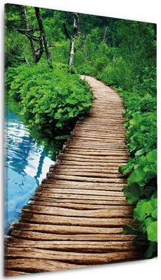 Produktbild von Wallario Premium Leinwandbild Holzweg im Wald in Größe 60 x 90 cm