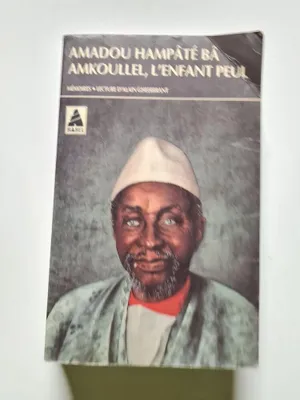 Image de Amkoullel, l' enfant Peul