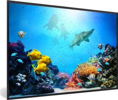 Produktbild von MuchoWow® MuchoWow® Gerahmtes Poster Meer - Fische - Korallen 30x20 cm - Poster mit zchwarzem Bilderrahmen - Kunstdruck - Bild-Poster