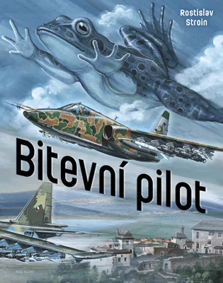Produktbild von Bitevní pilot (Stroin Rostislav)