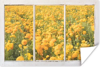 Produktbild von MuchoWow® Poster Durchsichtig - Blumen - Gelb 120x80 cm - Bilder