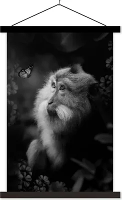 Produktbild von MuchoWow® Textilposter Affe und Schmetterling im Dschungel - schwarz und weiß 40x60 cm mit schwarzem Rahmen - Wanddekorationen