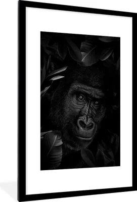 Produktbild von MuchoWow® Gerahmtes Poster Botanischer Affe auf dunklem Hintergrund - schwarz und weiß 60x90 cm - Poster mit Schwarzem Bilderrahmen Wandposter Rahmen Foto Bilder - Dekoration - Wandposter Wohnzimmer - Hochwertig
