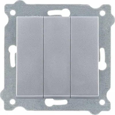 Image de Interrupteur triple argent 213/10E EXEN