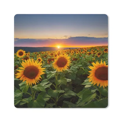 Produktbild von MuchoWow® Mauspad Mousepad Blumen - Nacht - Sonnenuntergang - Sonnenblume - Horizont 20x20 cm - Mousepads - Maus Mat - Pad - Mausunterlage - Desk Mat - Bureauartikeln