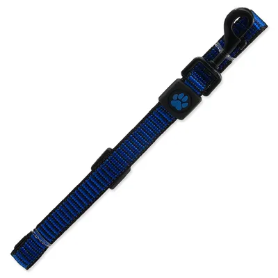 Obrázek produktu pro Vodítko DOG Strong modré M 1 ks
