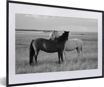 Produktbild von MuchoWow® Gerahmtes Poster Pferde - Tiere - Porträt - Schwarz-Weiß - Landleben 60x40 cm - Poster mit Schwarzem Bilderrahmen Wandposter Rahmen Foto Bilder - Schlafzimmer - Plakat in Rahmen - Drucken