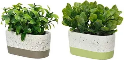 Obrázok produktu pre Umelá zelená rastlina 1 kus 14x7x15 cm