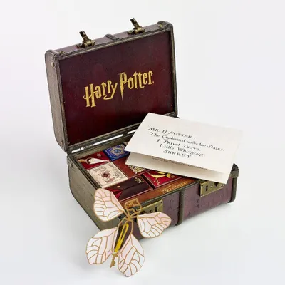 Immagine prodotto di Calendario dell'Avvento di Hogwarts con sorprese magiche e oggetti da collezione