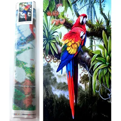 Image de Norimpex Diamant Peinture Perroquets colorés 80x40cm