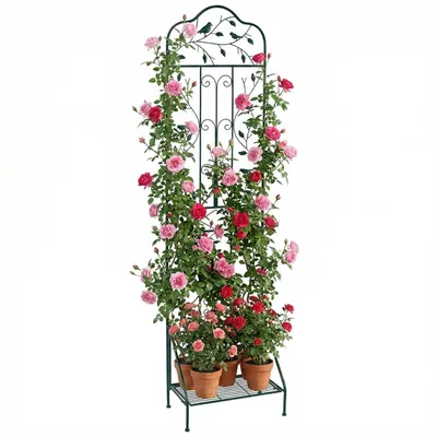 Produktbild von COSTWAY Rankgitter Metall, 3 in 1 dekorativer Gartenzaun, Blumenregal&Pflanzstütze, freistehende Rankhilfe, Spalier Garten (Dunkelgrün,1 Pack)