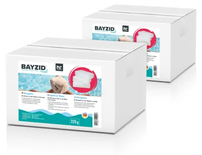 Produktbild von 2 x 320 g BAYZID® Pool Filtersegmente