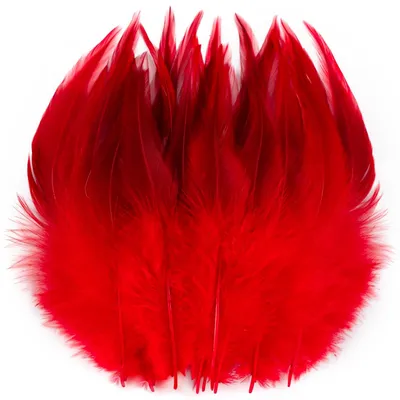 Productafbeelding van Decoratieve veren - 200 stuks - Geschikt voor knutselen en decoratie - Rood - 13-18 cm