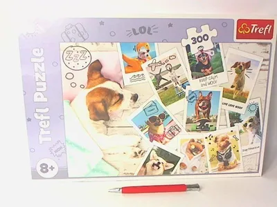 Obrázok produktu pre Trefl 23003, 300 kusov, Zvieratá, 8 rok / roky