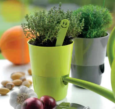 Produktbild von Kräutertopf Bewässerungstopf 'Rosmarin' mit Wasserspeicher Ø 11cm in 4 Farben, Farbe:Hell+dunkel-Lavendel