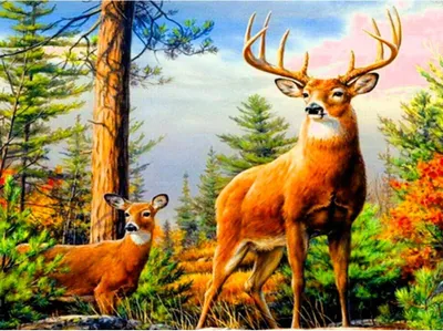 Image de NORIMPEX Petit poêle Diamantov cerf avec crochets 30 x 40 cm