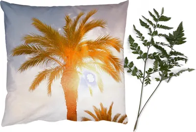 Produktbild von MuchoWow® Zierkissen Sofakissen Wohnzimmer Dekokissen 40x40 cm Palme - Sommer - Sonne - Tropisch - Foto Kissen - Schlafzimmer Dekoration