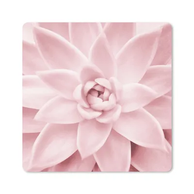 Produktbild von MuchoWow® Mauspad Mousepad Blume - Rosa - Natur - Pflanze 30x30 cm - Mousepads - Maus Mat - Pad - Mausunterlage - Gaming