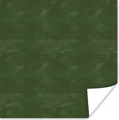 Produktbild von MuchoWow® Poster Leder - Grün - Tierhaut 50x50 cm - Wohnzimmerdekoration