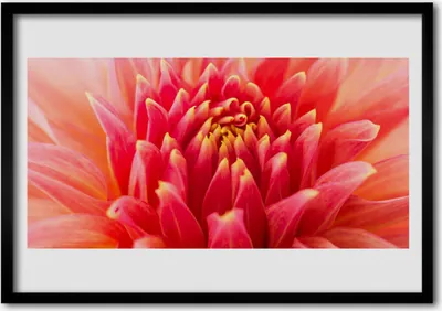 Produktbild von Bild 100x70 MDF-Rahmen Wandkunst Natur Blume Pflanze
