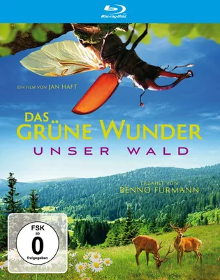 Produktbild von Das grüne Wunder - Unser Wald