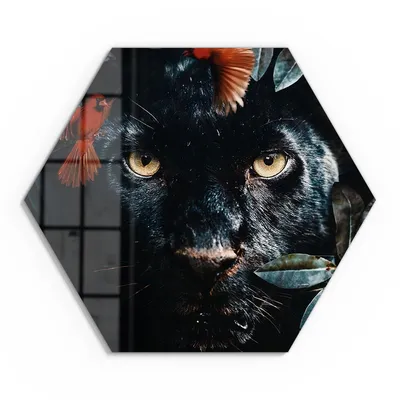 Produktbild von DEQORI Glasbild Echtglas 55x48 cm 'Verborgene Raubkatze' Wandbild Bild modern Deko