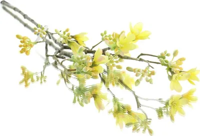 Produktbild von GASPER Scheinquittenzweig Gelb 51 cm - Kunstblumen