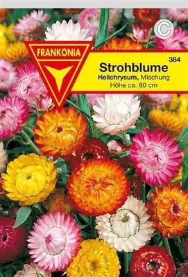 Produktbild von Strohblume gefüllte Mischung