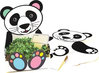 Produktbild von EDUPLAY 370108 Pflanzschale Panda