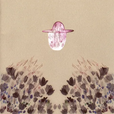Obrázok produktu pre Devendra Banhart: Devendra Banhart: (CD / S)
