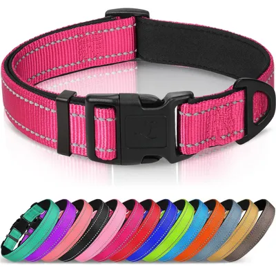 Productafbeelding van Hondenhalsband voor Kleine Honden, Reflecterend, Hotpink