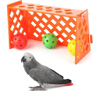 Obrázek produktu pro Domácí mazlíček papoušek Mini fotbalové hřiště Trénink ptáků Stolní vzdělávací puzzle Hračka pro rozvoj inteligence