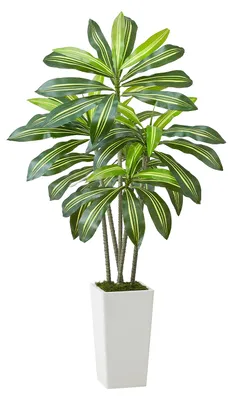 Produktbild von Künstlicher Dracaena-Baum, 1,52 m, Drachenbaum, tropische Pflanzen mit weißem, hohem Pflanzgefäß, Kunstseidenpflanze im Topf, große Bäume für Veranden