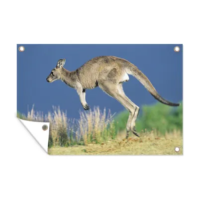 Obrázek produktu pro MuchoWow® Zahradní plakáty - Klokan - Zvíře - Příroda - 80x120 cm - Zahradní dekorace