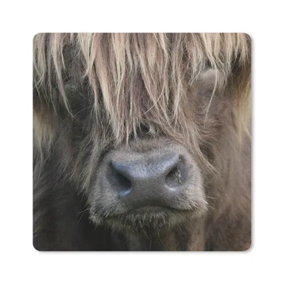 Produktbild von MuchoWow® Mauspad Mousepad Schottischer Highlander - Braun - Nase 30x30 cm - Mousepads - Maus Mat - Pad - Mausunterlage - Gaming