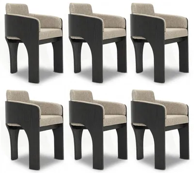 Obrázek produktu pro Sada židlí, béžová, dřevo, černá, výrazný design, pohodlné, exkluzivní, elegantní